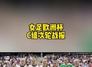 开云体育在线-波兰女足队长因意外受伤退出比赛
