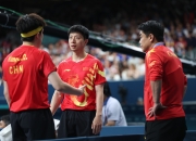 开云体育下载-包含法国队横扫中国队，梁靖崑点燃赛场的词条