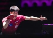 开云体育入口-奥地利队轻取法国队，王皓惊艳四座的简单介绍