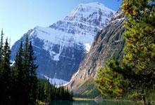 开云平台-卡塔尔之压与安菲尔德之光，范戴克在焦点战中重定义唯一性