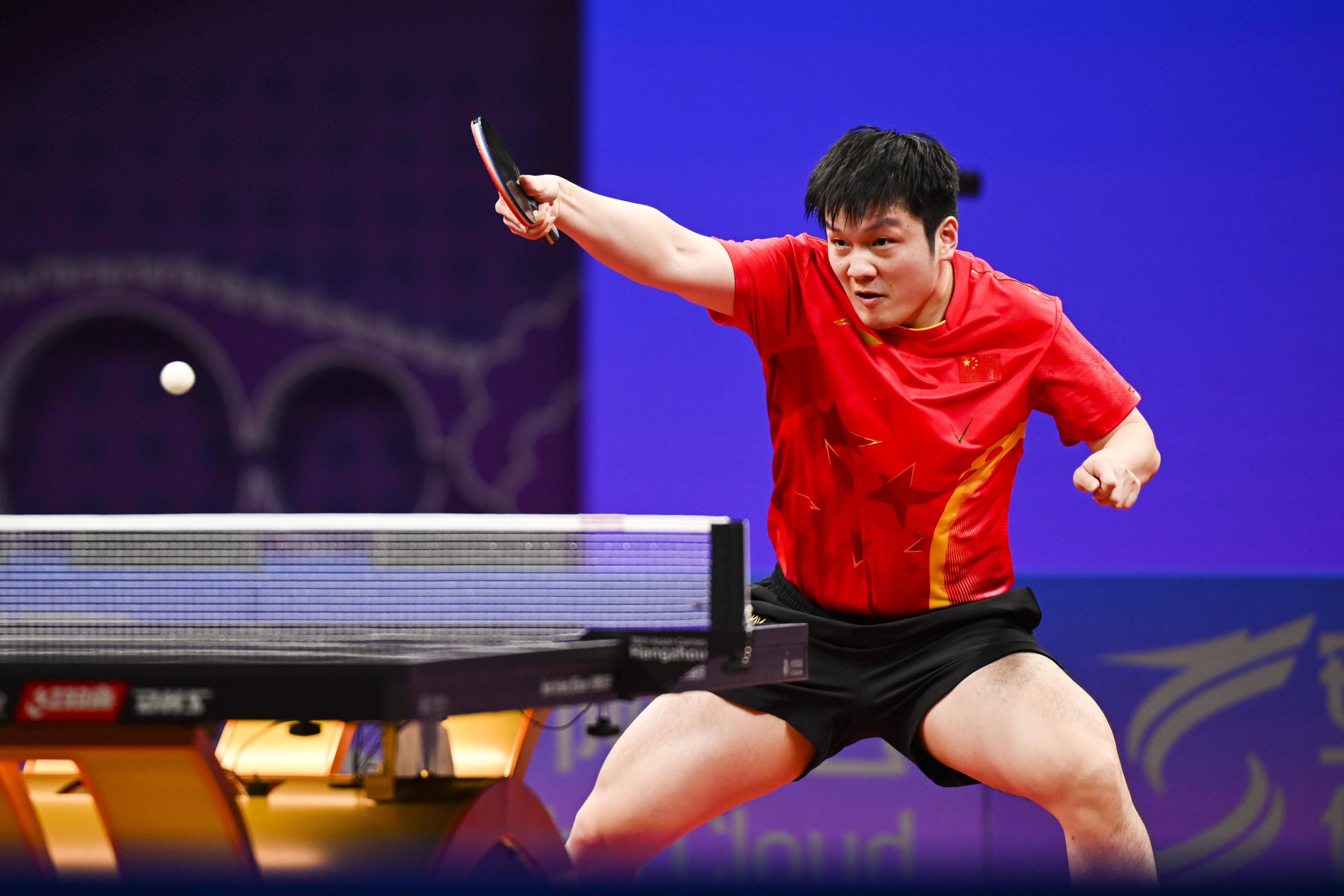 关于法国乒乓球队横扫波兰乒乓球队，樊振东惊艳世界的信息
