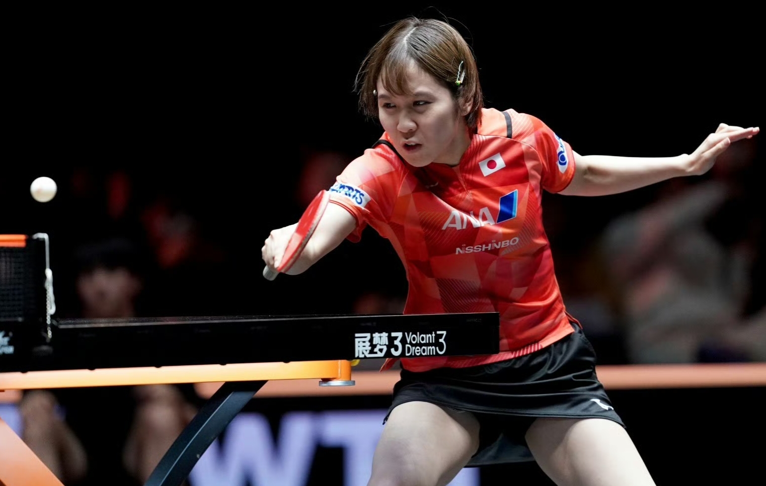 日本乒乓球队横扫中国乒乓球队,波尔一己之力扛起全队的简单介绍 日本乒乓球队横扫中国乒乓球队,波尔一己之力扛起全队的简单介绍