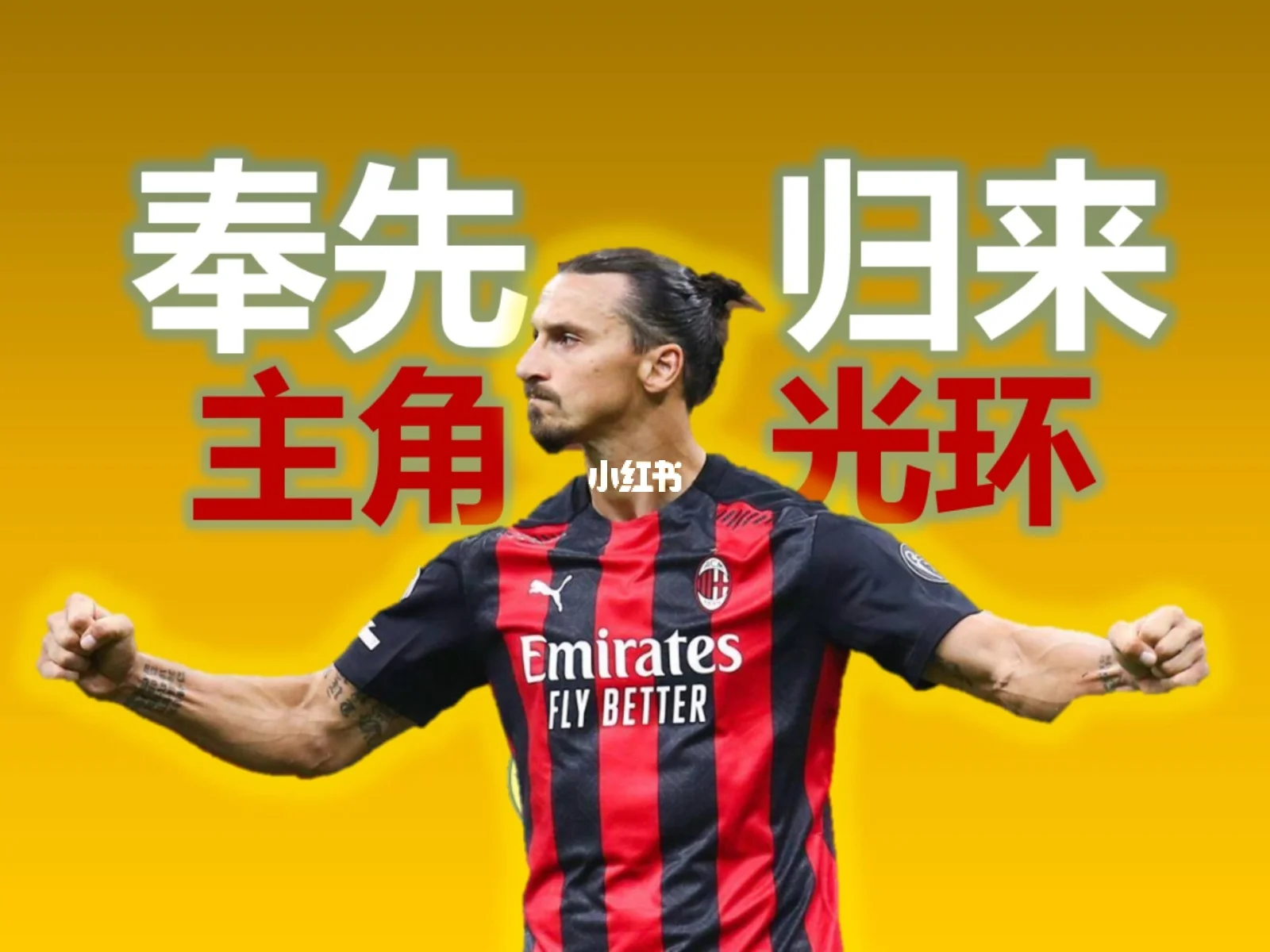 哥伦比亚逆转希腊，伊布高光表现的简单介绍